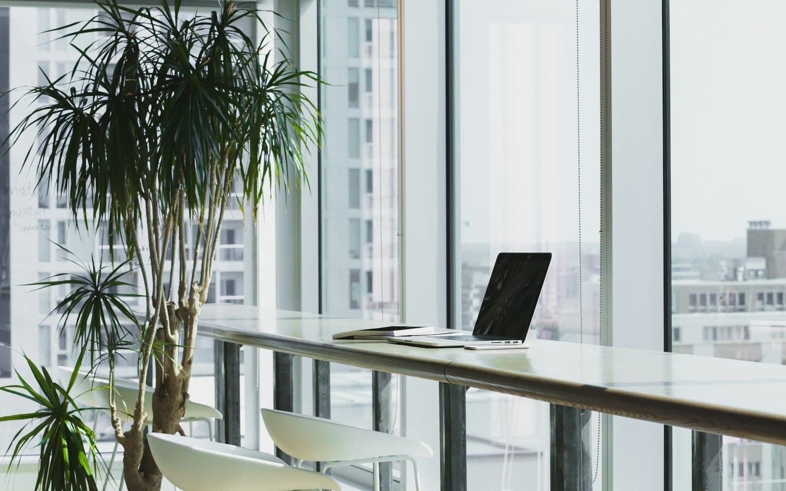 A premium shared workspace desk with a laptop and plant beside floor-to-ceiling windows